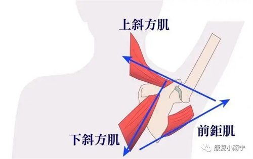 图片细节